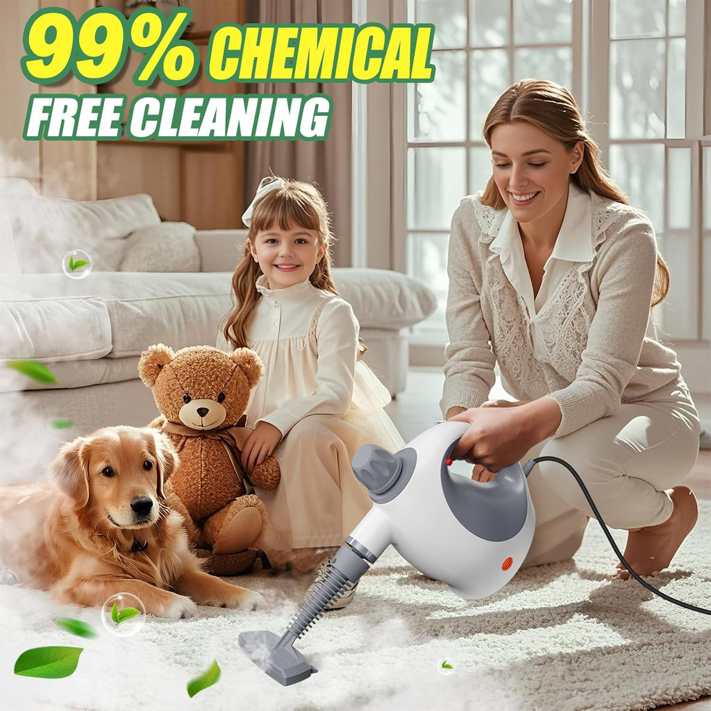 Handheld Steam Cleaner With Safety Lock